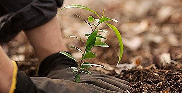 RECYCLE, REUSE, REDUCE