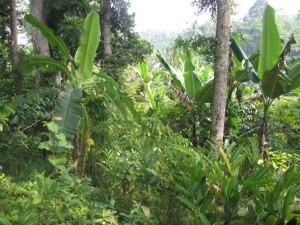 IMG 0199
